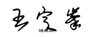 朱錫榮王定峰草書個性簽名怎么寫