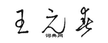 駱恆光王元春草書個性簽名怎么寫