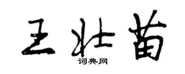 曾慶福王壯苗行書個性簽名怎么寫