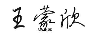 駱恆光王蒙欣行書個性簽名怎么寫