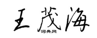 王正良王茂海行書個性簽名怎么寫