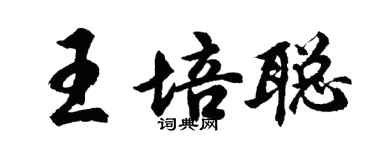 胡問遂王培聰行書個性簽名怎么寫