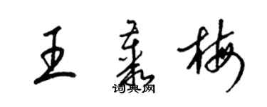 梁錦英王叢梅草書個性簽名怎么寫