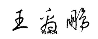 梁錦英王禹鵬草書個性簽名怎么寫