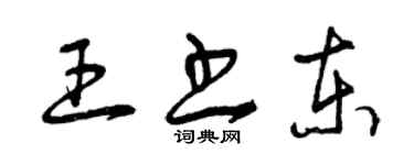 曾慶福王書東草書個性簽名怎么寫