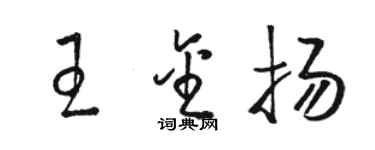 駱恆光王金揚草書個性簽名怎么寫