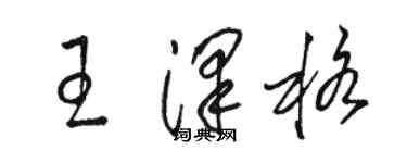 駱恆光王澤格草書個性簽名怎么寫