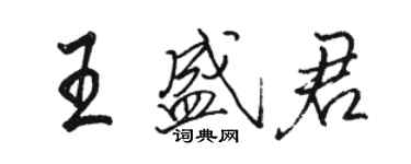 駱恆光王盛君行書個性簽名怎么寫