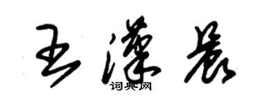 朱錫榮王漢晨草書個性簽名怎么寫