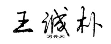 曾慶福王誠樸行書個性簽名怎么寫