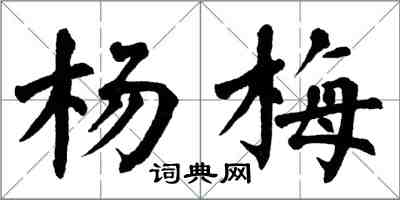 翁闓運楊梅楷書怎么寫