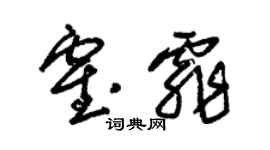 朱錫榮霍霏草書個性簽名怎么寫