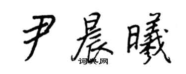王正良尹晨曦行書個性簽名怎么寫