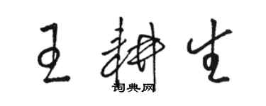 駱恆光王耕生草書個性簽名怎么寫