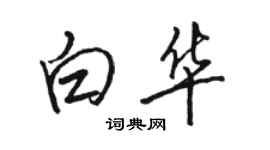 駱恆光白華行書個性簽名怎么寫