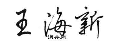 駱恆光王海新行書個性簽名怎么寫