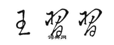 駱恆光王習習草書個性簽名怎么寫