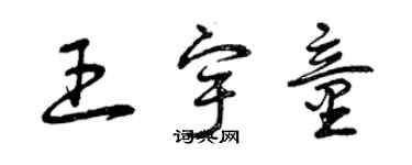 曾慶福王宇童草書個性簽名怎么寫