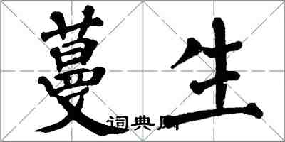 翁闓運蔓生楷書怎么寫