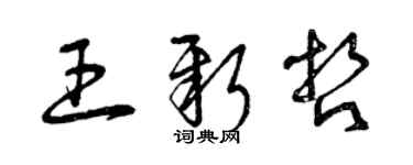 曾慶福王新哲草書個性簽名怎么寫