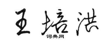 駱恆光王培洪行書個性簽名怎么寫