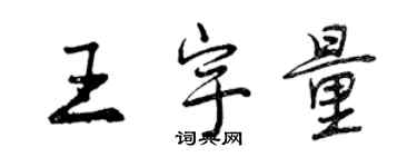 曾慶福王宇量行書個性簽名怎么寫