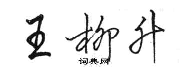 駱恆光王柳升行書個性簽名怎么寫