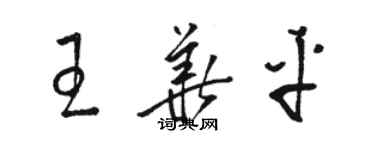 駱恆光王華平草書個性簽名怎么寫