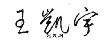 駱恆光王凱宇草書個性簽名怎么寫