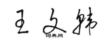 駱恆光王文韓草書個性簽名怎么寫