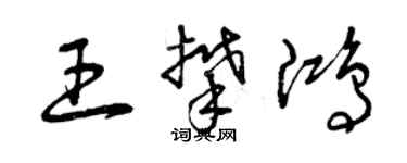 曾慶福王攀鴻草書個性簽名怎么寫