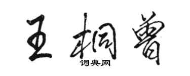 駱恆光王桐曾行書個性簽名怎么寫