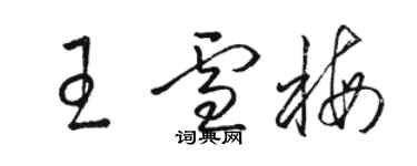 駱恆光王雪梅草書個性簽名怎么寫