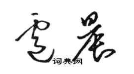 駱恆光盧晨草書個性簽名怎么寫