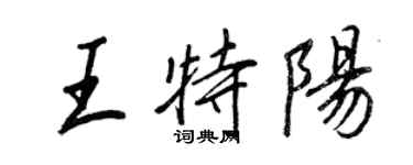 王正良王特陽行書個性簽名怎么寫