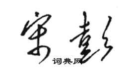 駱恆光宋彭草書個性簽名怎么寫