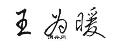 駱恆光王為暖行書個性簽名怎么寫