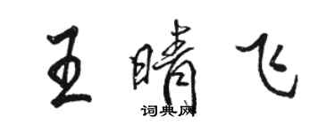 駱恆光王晴飛行書個性簽名怎么寫
