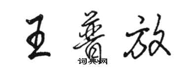 駱恆光王普放行書個性簽名怎么寫