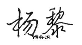 駱恆光楊黎行書個性簽名怎么寫