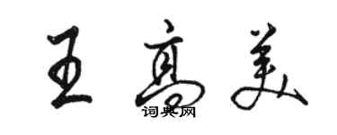 駱恆光王高美行書個性簽名怎么寫