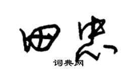 朱錫榮田忠草書個性簽名怎么寫