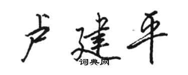 駱恆光盧建平行書個性簽名怎么寫