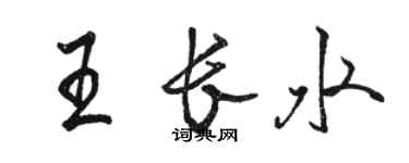 駱恆光王長水行書個性簽名怎么寫