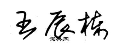 朱錫榮王辰棟草書個性簽名怎么寫