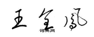 梁錦英王全鳳草書個性簽名怎么寫