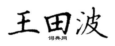 丁謙王田波楷書個性簽名怎么寫