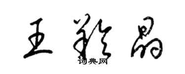 梁錦英王羚晶草書個性簽名怎么寫