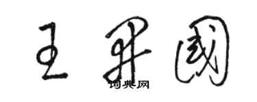 駱恆光王開國草書個性簽名怎么寫