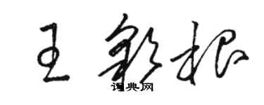 駱恆光王彩根草書個性簽名怎么寫